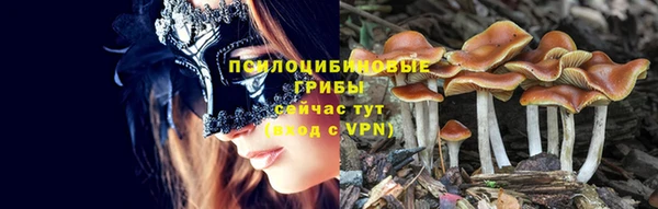 мет Нягань
