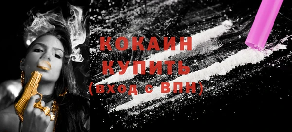 спиды Няндома