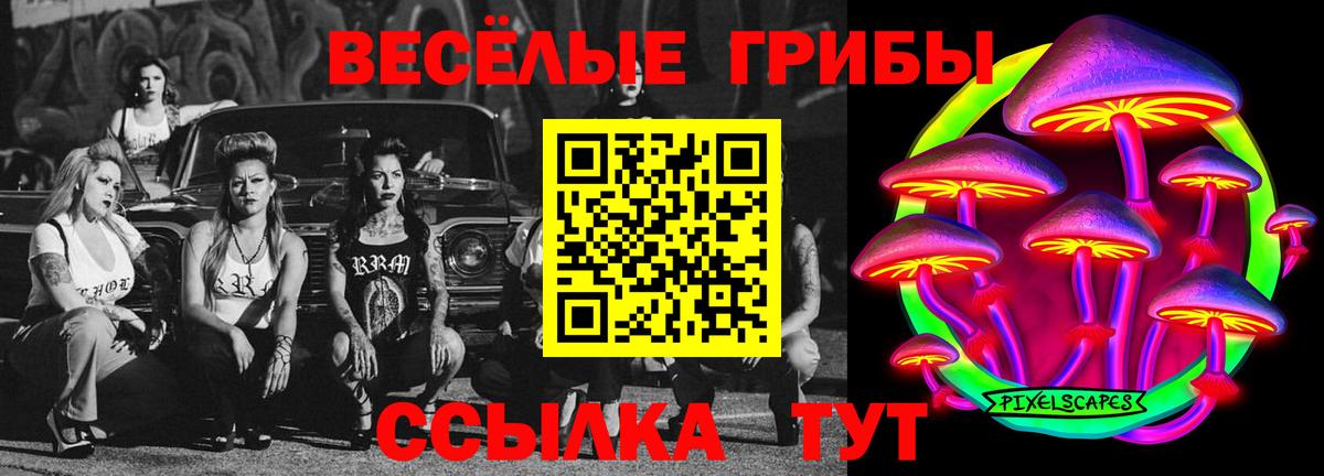 Псилоцибиновые грибы Cubensis Кумертау